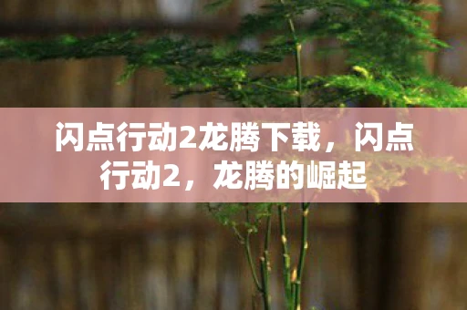 闪点行动2龙腾下载，闪点行动2，龙腾的崛起
