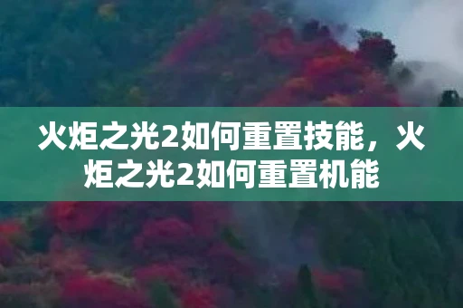 火炬之光2如何重置技能，火炬之光2如何重置机能