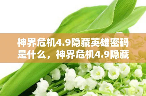 神界危机4.9隐藏英雄密码是什么，神界危机4.9隐藏英雄密码揭秘