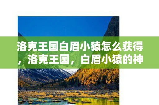 洛克王国白眉小猿怎么获得，洛克王国，白眉小猿的神秘传说