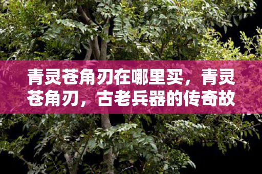 青灵苍角刃在哪里买，青灵苍角刃，古老兵器的传奇故事