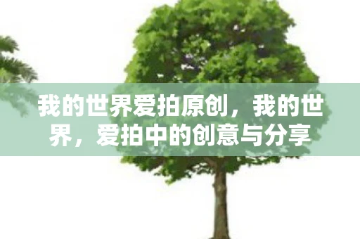 我的世界爱拍原创，我的世界，爱拍中的创意与分享