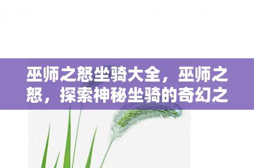 巫师之怒坐骑大全，巫师之怒，探索神秘坐骑的奇幻之旅