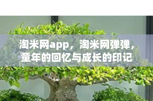 淘米网app，淘米网弹弹，童年的回忆与成长的印记