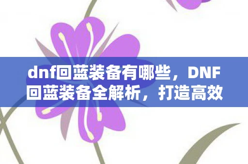 dnf回蓝装备有哪些，DNF回蓝装备全解析，打造高效续航的必备神器
