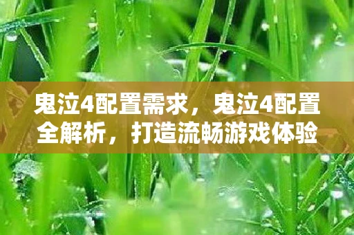 鬼泣4配置需求，鬼泣4配置全解析，打造流畅游戏体验