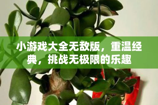 小游戏大全无敌版图片