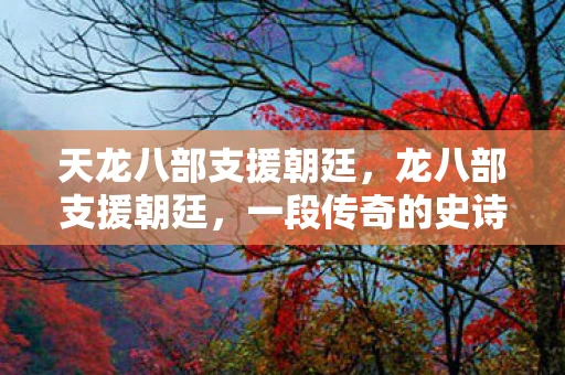 天龙八部支援朝廷，龙八部支援朝廷，一段传奇的史诗