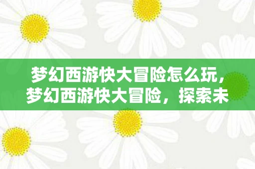 梦幻西游快大冒险怎么玩，梦幻西游快大冒险，探索未知，挑战极限