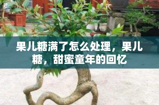 果儿糖满了怎么处理，果儿糖，甜蜜童年的回忆