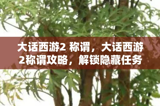 大话西游2 称谓，大话西游2称谓攻略，解锁隐藏任务，成就传奇之旅