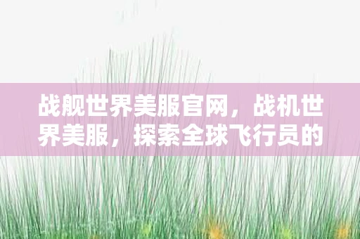 战舰世界美服官网，战机世界美服，探索全球飞行员的终极挑战