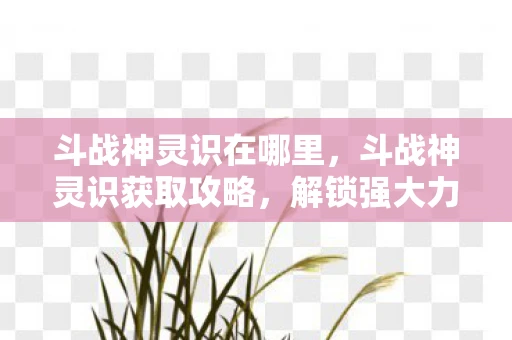 斗战神灵识在哪里，斗战神灵识获取攻略，解锁强大力量，成就传奇之路