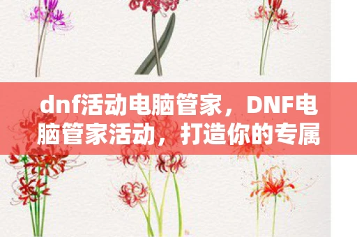 dnf活动电脑管家，DNF电脑管家活动，打造你的专属游戏助手