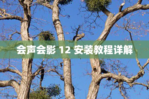 会声会影 12 安装教程详解