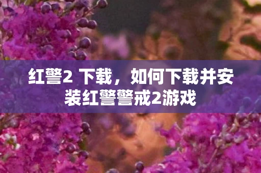 红警2 下载，如何下载并安装红警警戒2游戏