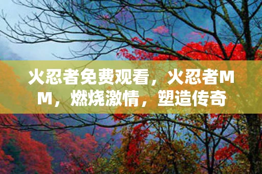 火忍者免费观看，火忍者MM，燃烧激情，塑造传奇