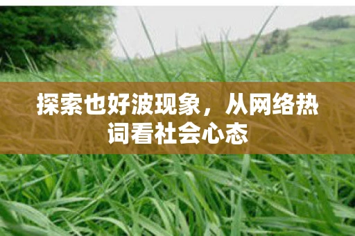 探索也好波现象，从网络热词看社会心态