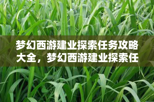 梦幻西游建业探索任务攻略大全，梦幻西游建业探索任务攻略