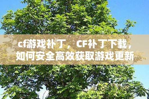 cf游戏补丁，CF补丁下载，如何安全高效获取游戏更新
