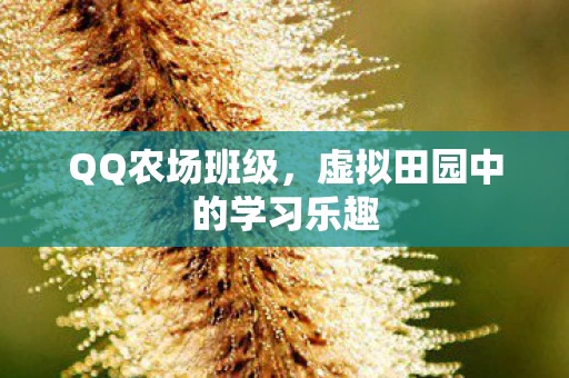 虚拟田园中的学习乐趣图片