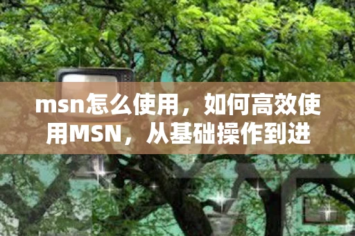 msn怎么使用，如何高效使用MSN，从基础操作到进阶技巧