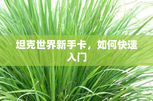 坦克世界新手卡，如何快速入门