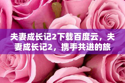 夫妻成长记2下载百度云，夫妻成长记2，携手共进的旅程