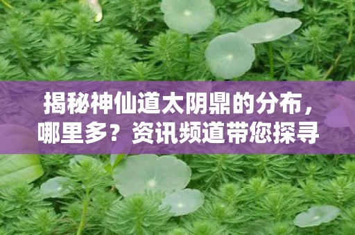 揭秘神仙道太阴鼎的分布图片