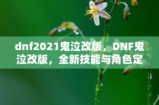 dnf2021鬼泣改版，DNF鬼泣改版，全新技能与角色定位解析
