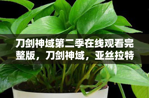 刀剑神域第二季在线观看完整版，刀剑神域，亚丝拉特与黑暗的交响曲