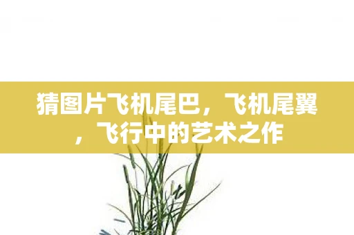 猜图片飞机尾巴，飞机尾翼，飞行中的艺术之作