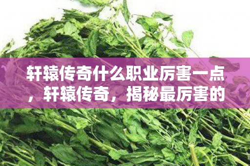 轩辕传奇什么职业厉害一点，轩辕传奇，揭秘最厉害的职业