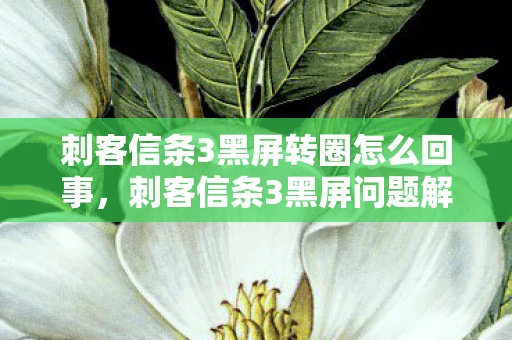 刺客信条3黑屏转圈怎么回事，刺客信条3黑屏问题解决方案