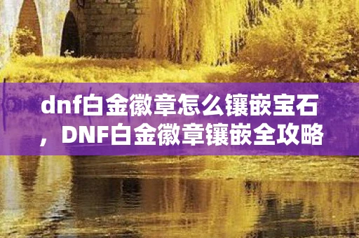 dnf白金徽章怎么镶嵌宝石，DNF白金徽章镶嵌全攻略，打造你的专属荣耀