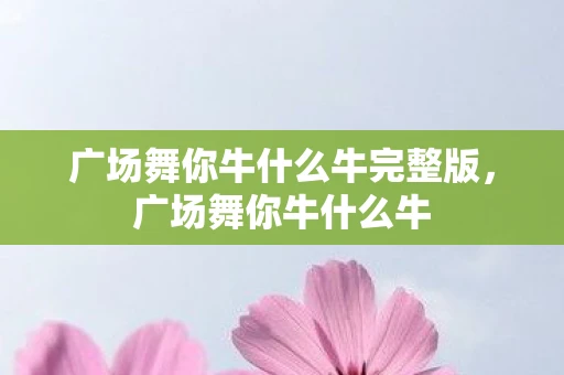 广场舞你牛什么牛完整版，广场舞你牛什么牛