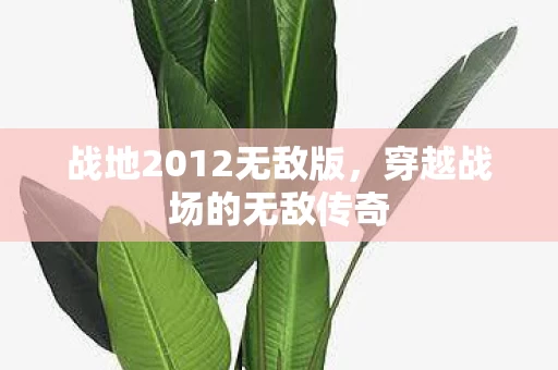战地2012无敌版图片