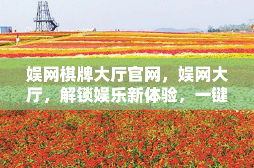 娱网棋牌大厅官网，娱网大厅，解锁娱乐新体验，一键下载尽享精彩