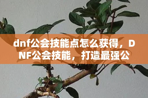 dnf公会技能点怎么获得，DNF公会技能，打造最强公会，提升战斗力的关键