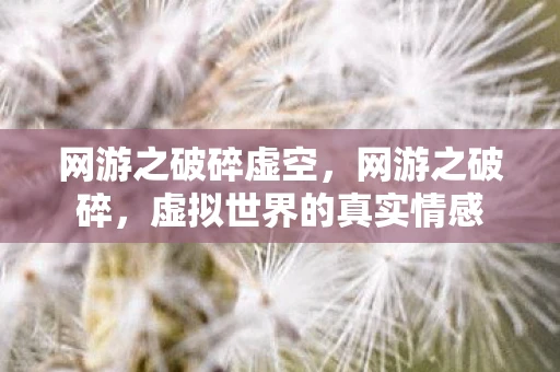 网游之破碎虚空，网游之破碎，虚拟世界的真实情感