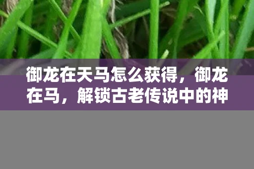 御龙在天马怎么获得，御龙在马，解锁古老传说中的神秘坐骑