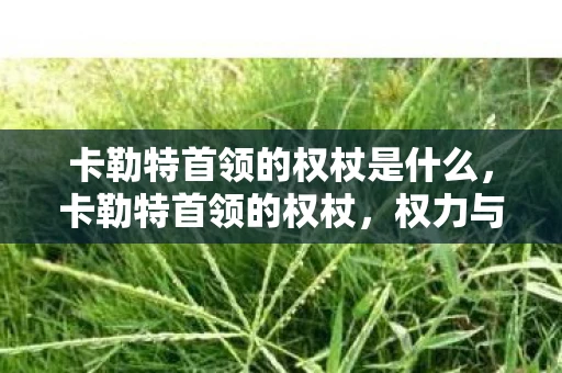 卡勒特首领的权杖是什么，卡勒特首领的权杖，权力与神秘的象征