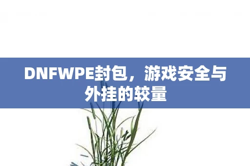 游戏安全与外挂的较量图片