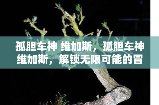 孤胆车神 维加斯，孤胆车神维加斯，解锁无限可能的冒险之旅