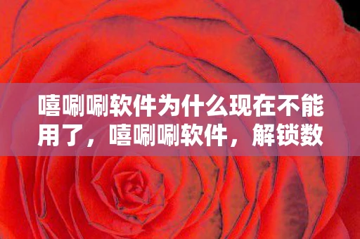 嘻唰唰软件为什么现在不能用了，嘻唰唰软件，解锁数字生活的便捷钥匙