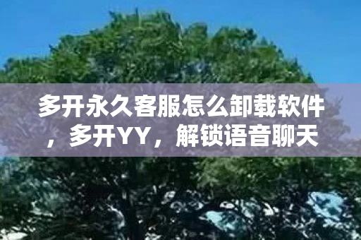 多开永久客服怎么卸载软件，多开YY，解锁语音聊天新境界