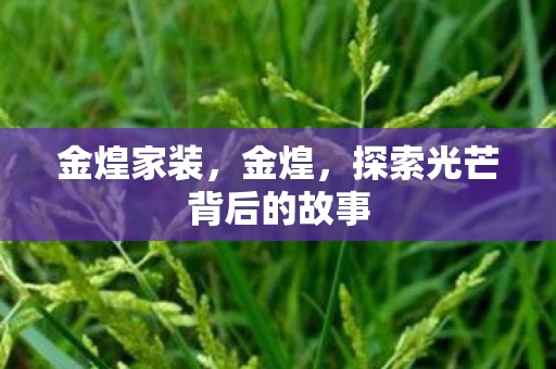 金煌家装，金煌，探索光芒背后的故事