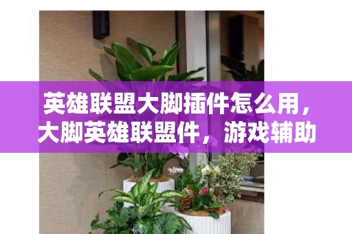 英雄联盟大脚插件怎么用，大脚英雄联盟件，游戏辅助工具的全解析