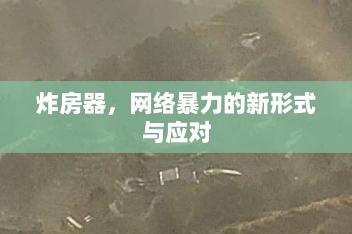 炸房器，网络暴力的新形式与应对