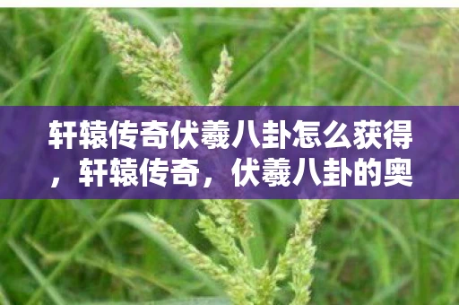 轩辕传奇伏羲八卦怎么获得，轩辕传奇，伏羲八卦的奥秘